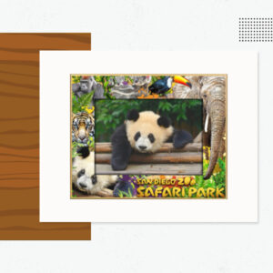 WOOD PHOTO FRAMES IN FULL COLOR